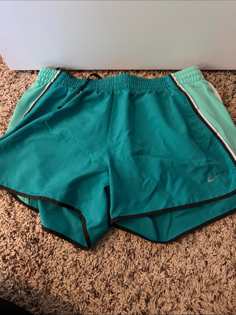 Nike Teal Athletic Shorts with Mint Side Panels and Black Trim